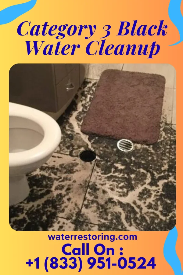 Category 3 Black Water Cleanup in Peabody, MA